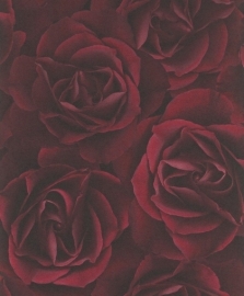 3D behang rozen crispy paper 525625