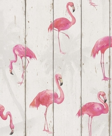 flamingo behang vogel dieren romantisch  rasch 479720