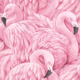 flamingo behang vogel dieren  xxx1