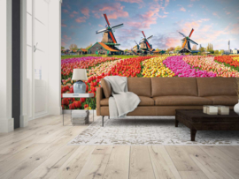 Livingwalls Fotobehang molens Designwalls  DD118694