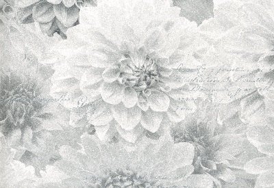 gek geworden laden Recensie grijs bloemen behang 128505 | ENGELS BLOEMEN BEHANG | ABCBEHANG de grootste  behangwinkel van nederland direct uit voorraad leverbaar