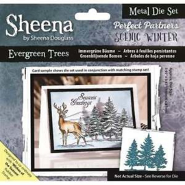 Sheena Douglass Scenic winter