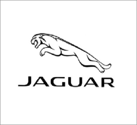 Jaguar uitlaatsetjes