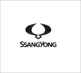 Ssangyong Uitlaatsetje Informatie