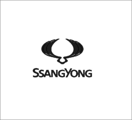 SsangYong uitlaatsetjes