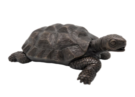 SCHILDPAD / FONTEIN