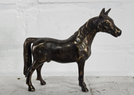 PAARD