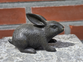 URN  / KONIJN / HAAS