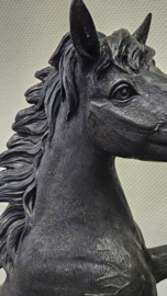 STEIGEREND PAARD