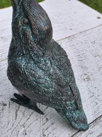 IJSVOGEL