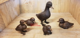 5 EENDJES
