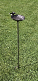 VOEDERSCHAALTJE  / BLADVORM