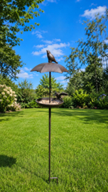 VOGELSCHAAL MET DAK