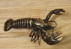 KREEFT  / 25 CM
