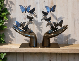 SET  /  2 HANDEN MET VLINDERS / LINKER EN RECHTERHAND
