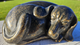 URN  / SLAPENDE HOND