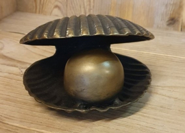 MINI URN SCHELP MET PAREL
