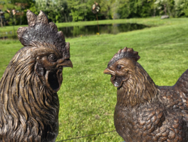 HAAN EN HEN / KIPPEN