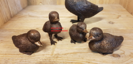 5 EENDJES