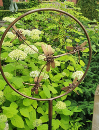 CIRKEL MET LIBELLE