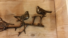 TAK MET 4 VOGELS