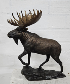 ELAND