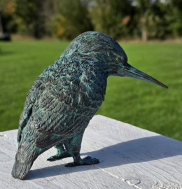 IJSVOGEL