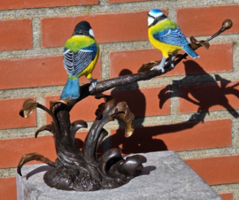 TAK MET PIMPELMEES EN KOOLMEES