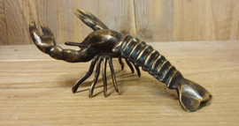 KREEFT  / 18 CM