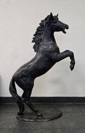 STEIGEREND PAARD