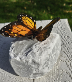 BRONZEN VLINDER OP NATUURSTEEN / ORANJE