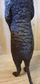 STOKSTAARTJE