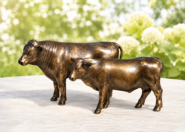 KOE EN STIER