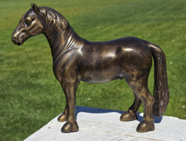 FRIES PAARD