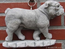 ENGELSE BULLDOG / BETON