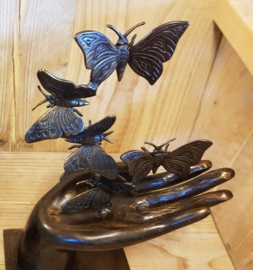 SET  /  2 HANDEN MET VLINDERS / LINKER EN RECHTERHAND