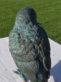 IJSVOGEL
