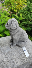MOPS HONDJE