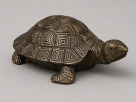 SCHILDPAD
