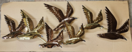 7 VOGELS