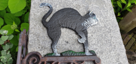 KAT / DEURBEL / POES