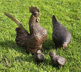 HAAN EN HEN MET 2 KUIKENS