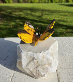 BRONZEN VLINDER OP NATUURSTEEN / GEEL