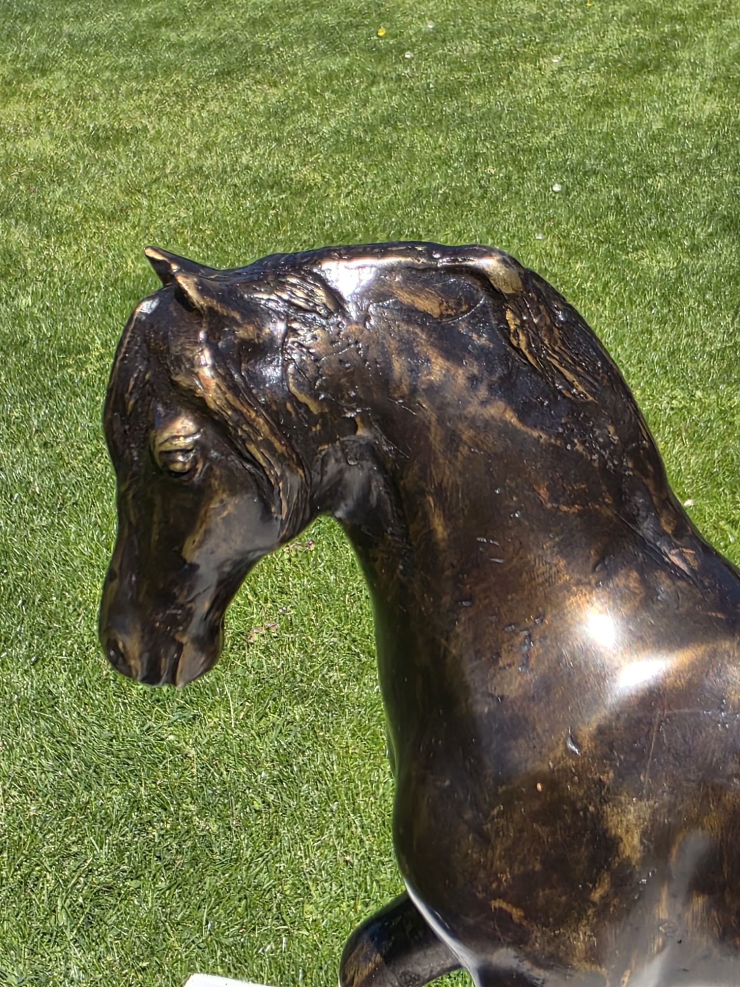 FRIES PAARD