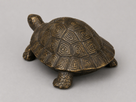 SCHILDPAD