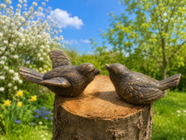 VOGELTJES
