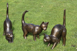 GROTE POES DIE SCHRIKT