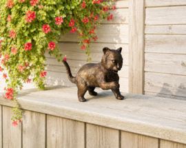 POES / KAT