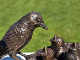 VOGELNEST