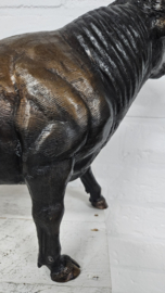 STIER